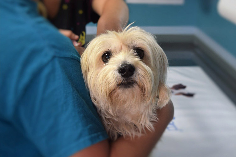 membership membership